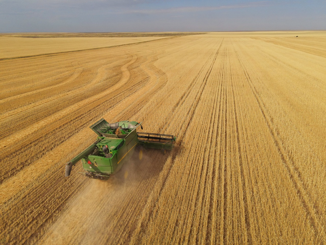 Казахстанские экспортеры могут поставить до 3 млн тонн пшеницы в Иран 