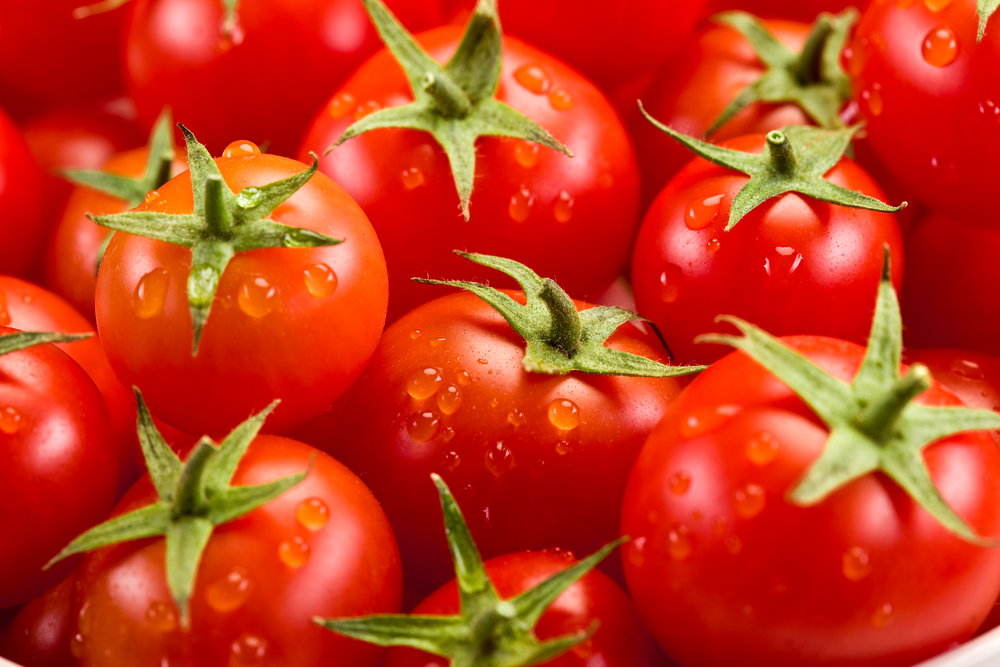 Завод по производству томатов построят турецкие инвесторы