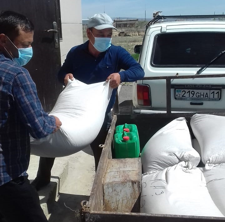 ФАО обеспечил семенами пшеницы фермерские хозяйства Кызылординской области