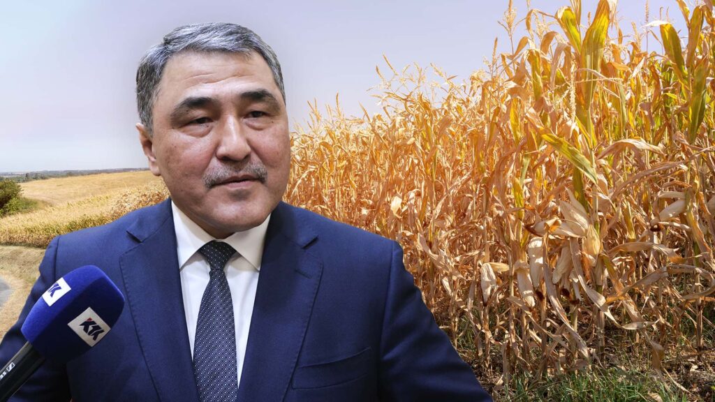 Су министрі оңтүстік өңірлердегі құрғақшылыққа болжам жасады