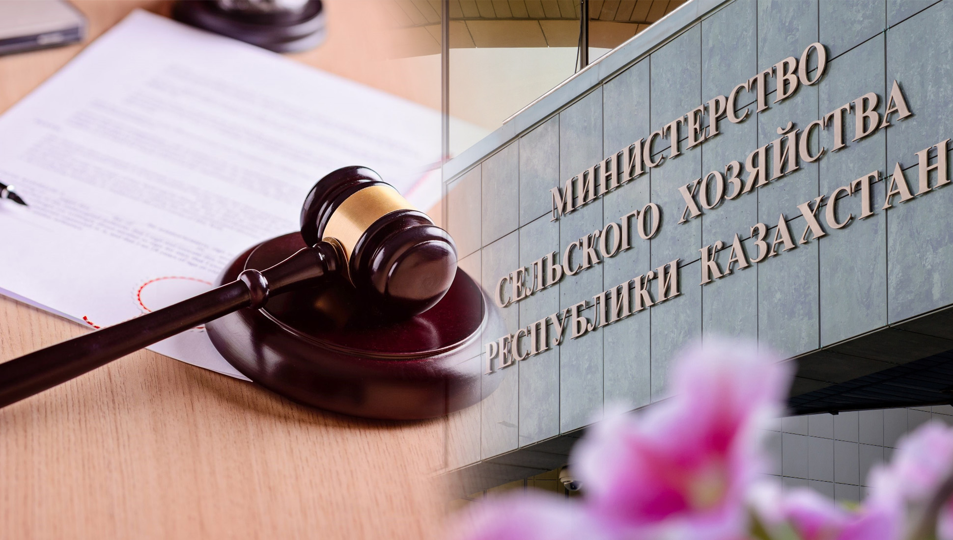 Оралдық фермер Ауыл шаруашылығы министрлігін сотқа берді