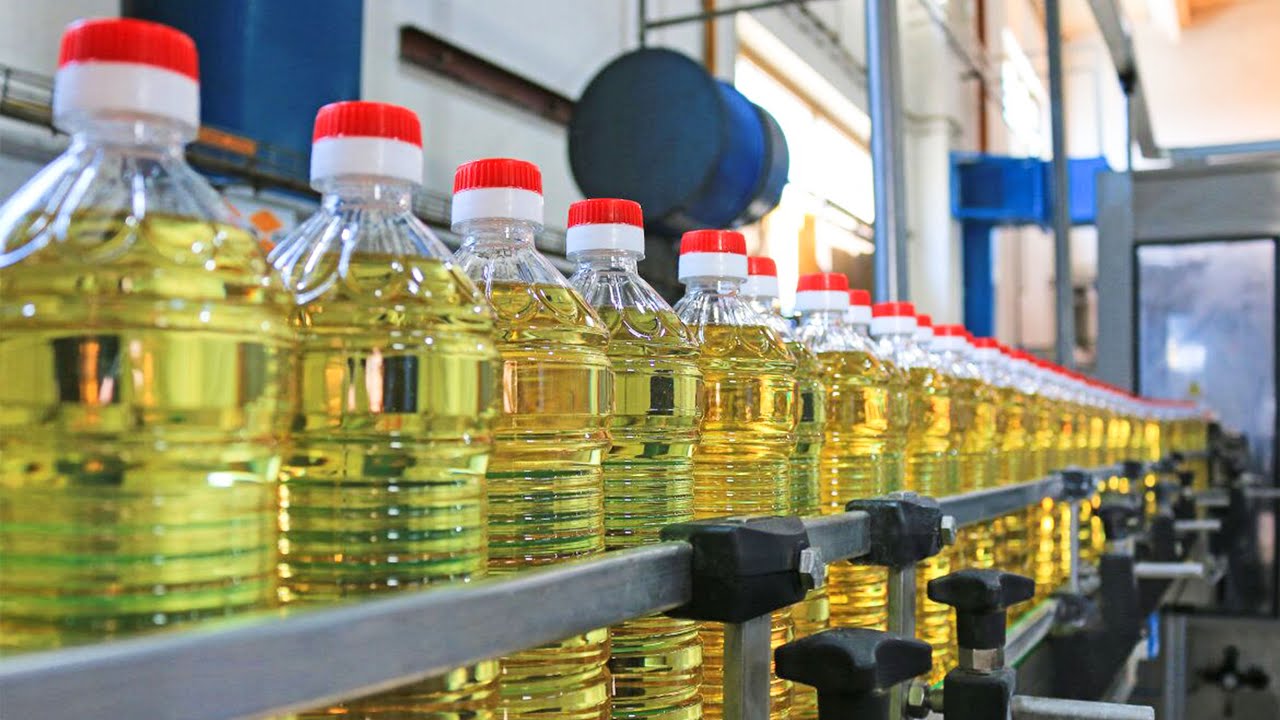 Oilseeds processing plant will be built in North-Kazakhstan region