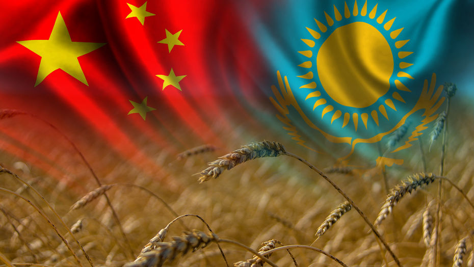 Инструкцию для экспортеров пищевой продукции в Китай разработали в Казахстане