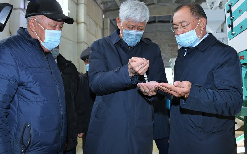 В Алматинской области отремонтируют оросительные каналы рисовых полей