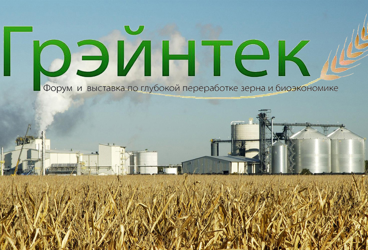 Аспекты глубокой переработки зерна и сахарной свеклы рассмотрят на форуме в Москве