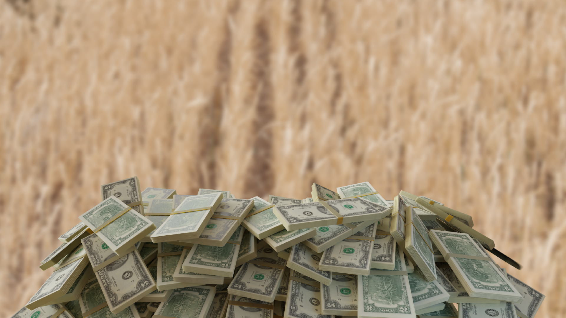 $1 млрд США заработал Казахстан на экспорте пшеницы
