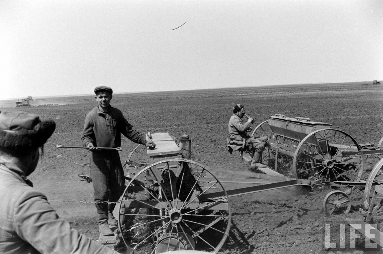 Освоение ссср. Целина в Казахстане 1954. 1954 Освоение целины. Целина 1954 год Казахстан. Целина освоение целинных земель СССР.